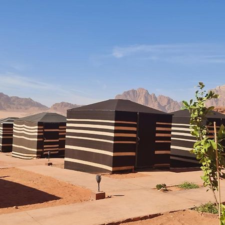 Wadi Rum Caravan Camp Exteriör bild
