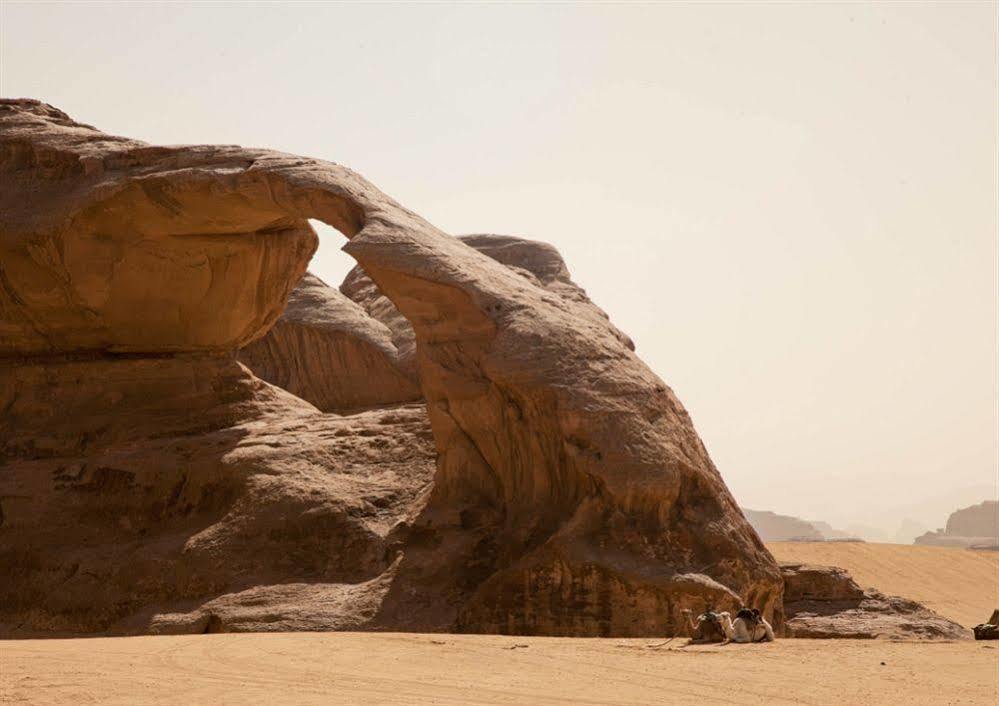 Wadi Rum Caravan Camp Exteriör bild